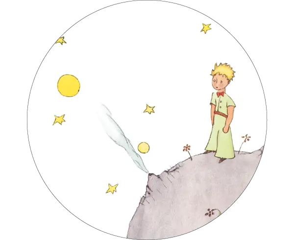 livre le petit prince